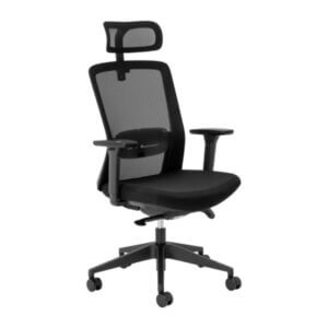 Aila Ergo Therapy Chrome High Back