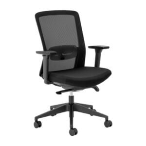 Aila Ergo Therapy Chrome Medium Back